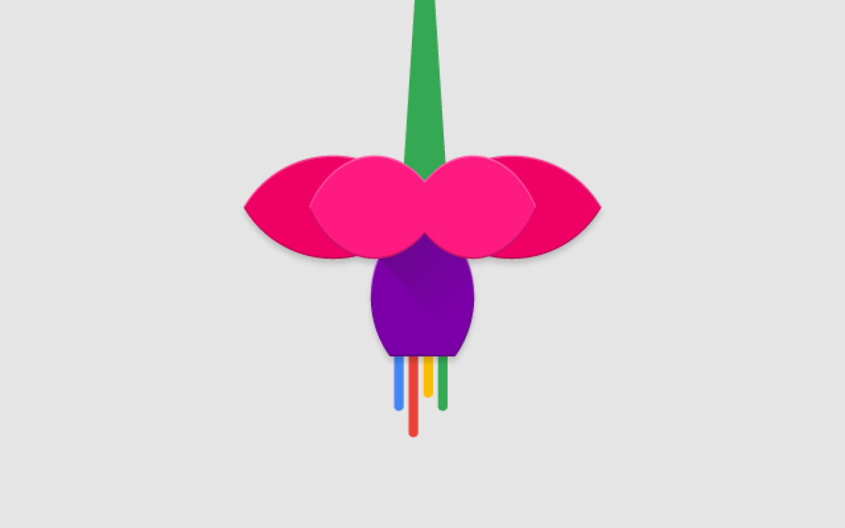 Fuchsia